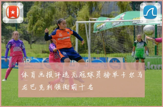 体育画报评选无冠球员榜单卡尔马龙巴克利领衔前十名