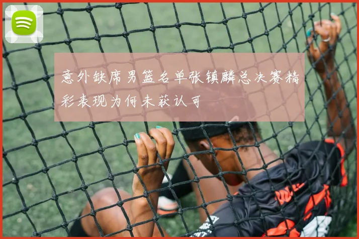 意外缺席男篮名单张镇麟总决赛精彩表现为何未获认可